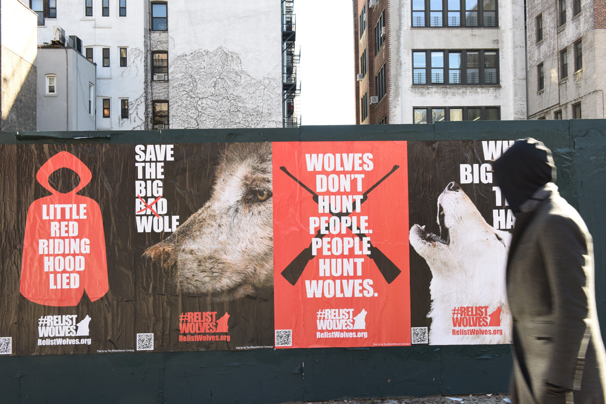 #RelistWolves posters on a New York street wall