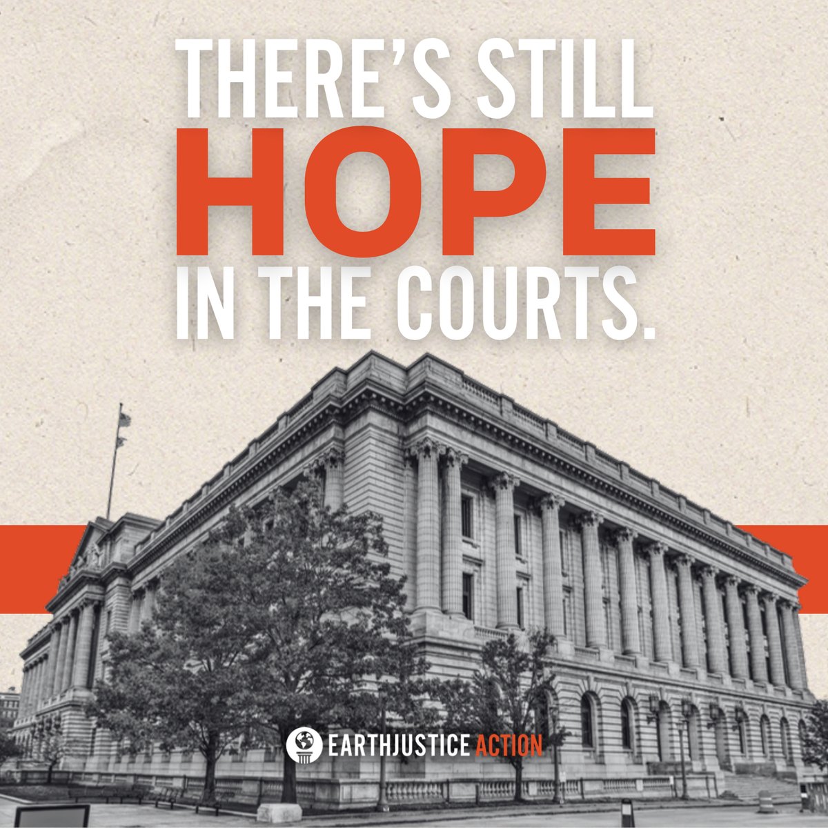 There’s still hope in the courts: an Earthjustice Action post
